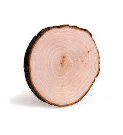 Hobbyring, Broodplank rond 16-18 x 2 cm