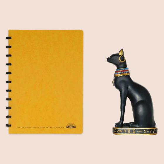 Traditional Cardboard